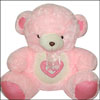Pink Teddy code-BGB  10 - Click here to View more details about this Product
